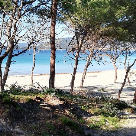 Nuovissimo Appartamento Con Terrazza Alghero Eksteriør billede
