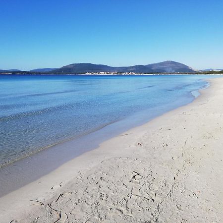 Nuovissimo Appartamento Con Terrazza Alghero Eksteriør billede