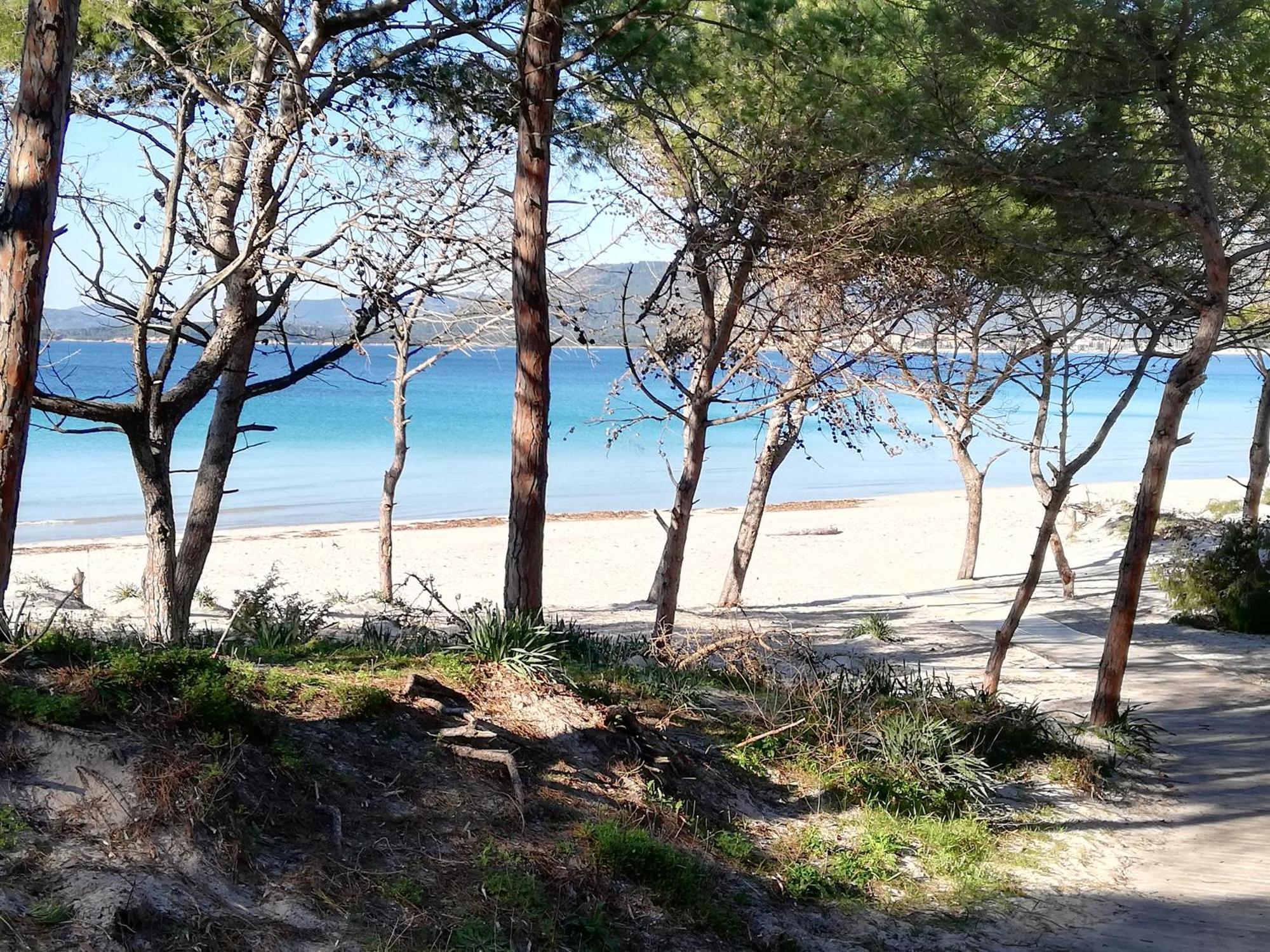 Nuovissimo Appartamento Con Terrazza Alghero Eksteriør billede